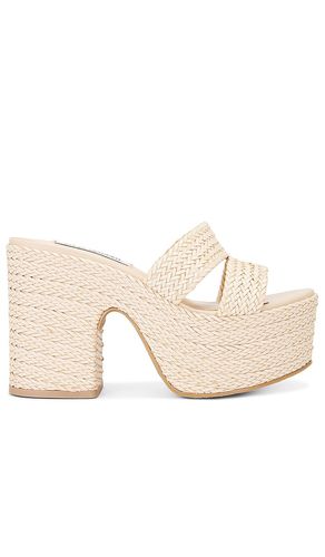 Gianni Heel in Neutral. - size 10 (also in 8.5, 9, 9.5) - Steve Madden - Modalova