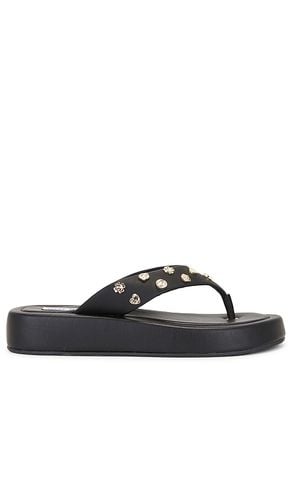 Kylen-c Flip Flop in Black. - size 10 (also in 7.5, 8, 8.5, 9.5) - Steve Madden - Modalova