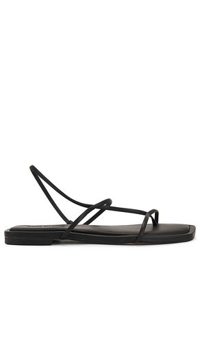 Lynley Sandal in . - size 10 (also in 9.5) - Steve Madden - Modalova