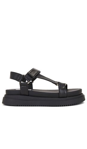 Matina Sandal in Black. - size 10 (also in 6, 6.5, 7, 7.5, 8, 8.5, 9, 9.5) - Steve Madden - Modalova