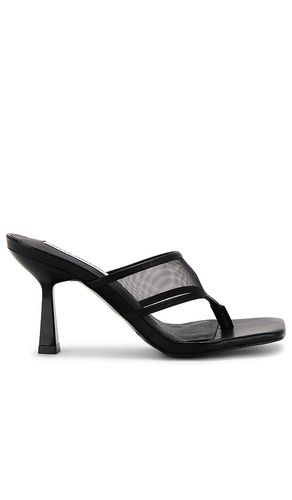 Rabin-M Heel in Black. - size 10 (also in 6, 6.5, 7.5, 8, 9, 9.5) - Steve Madden - Modalova