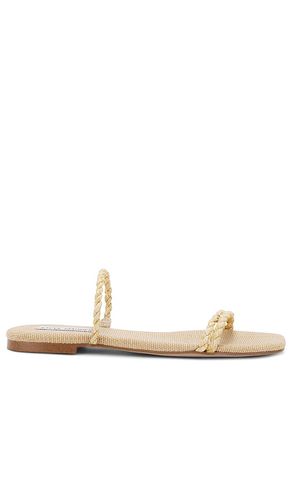 Tahiti Sandal in Metallic Gold. - size 10 (also in 6, 6.5, 7.5, 8, 8.5, 9.5) - Steve Madden - Modalova