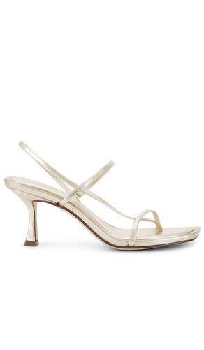 Locke Heel in Metallic Gold. - size 6 (also in 5.5, 7, 9) - Steve Madden - Modalova