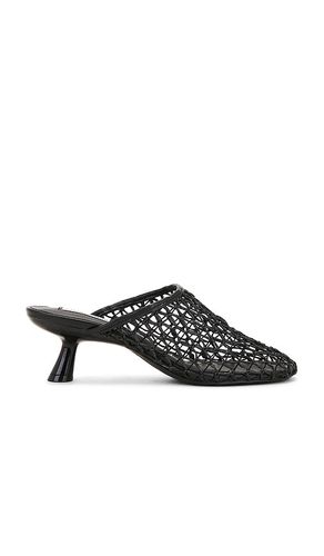 Xray Sandal in . - size 10 (also in 6, 6.5, 7.5, 8, 8.5, 9, 9.5) - Steve Madden - Modalova