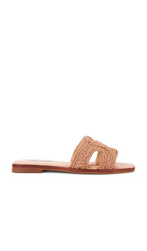Hadyn Slide in Neutral. - size 6 (also in 8.5) - Steve Madden - Modalova