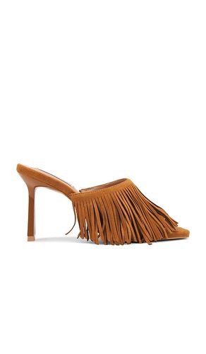 Morina Sandals in Cognac. - size 6.5 (also in 7, 7.5, 8, 8.5, 9, 9.5) - Steve Madden - Modalova