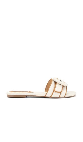 Merla Slides in Cream. - size 6 (also in 6.5, 7, 7.5, 8, 9, 9.5) - Steve Madden - Modalova