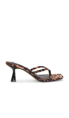 Allies Sandal in Brown. - size 10 (also in 11, 5.5, 6, 6.5, 7.5, 8, 8.5, 9, 9.5) - Steve Madden - Modalova