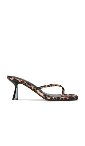 Allies Sandal in . Size 6. Also in 5.5 - Steve Madden - Modalova