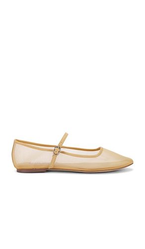 Maple Mary Jane Flat in Nude. - size 10 (also in 6, 7, 8.5, 9.5) - Steve Madden - Modalova