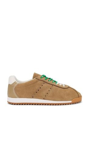 Mirage Sneaker in Tan. - size 10 (also in 6.5, 9.5) - Steve Madden - Modalova