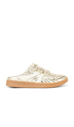 Magik Slip On Sneaker in Metallic . - size 10 (also in 5, 6, 6.5, 7, 7.5, 8, 8.5, 9, 9.5) - Steve Madden - Modalova