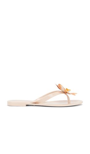 Poppyseed Sandal in . - size 10 (also in 7, 8) - Steve Madden - Modalova