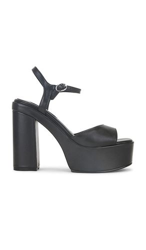 Odina Heel in Black. - size 10 (also in 6.5, 7, 7.5, 8, 8.5, 9, 9.5) - Steve Madden - Modalova