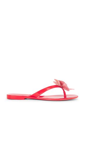 Poppyseed Sandal in . - size 7 (also in 8, 9) - Steve Madden - Modalova