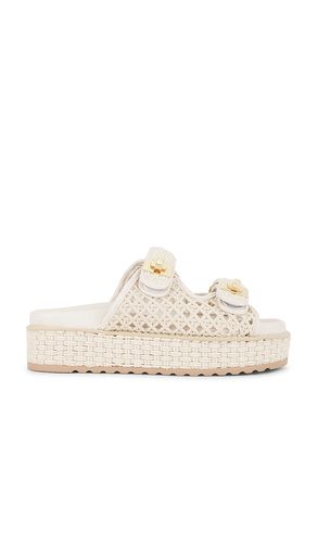 Big Schmona Sandal in Cream. - size 6 (also in 8.5) - Steve Madden - Modalova