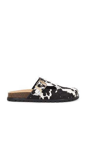 Atticus Clogs in Black & White. - size 6 (also in 7, 8, 9) - Steve Madden - Modalova