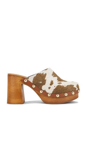 Dutton Clogs in Brown. - size 7 (also in 8) - Steve Madden - Modalova