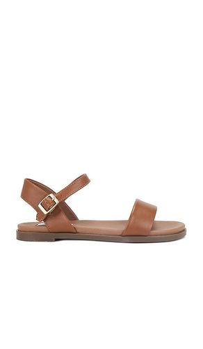 Dina Sandal in . - size 10 (also in 6, 6.5, 7.5, 8, 8.5, 9, 9.5) - Steve Madden - Modalova