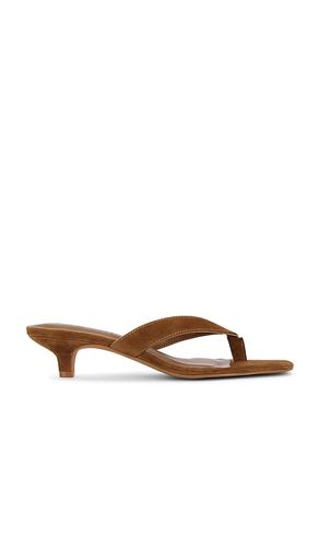 Tracie Sandal in Brown. - size 10 (also in 6, 6.5, 7, 7.5, 8, 8.5, 9.5) - Steve Madden - Modalova