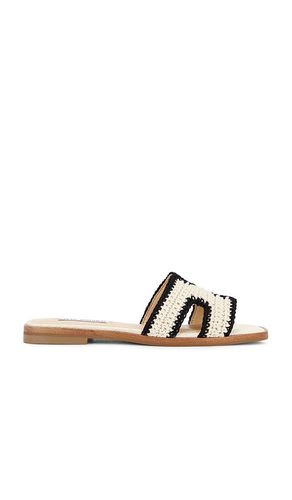 Hadyn-m Sandal in Cream. - size 10 (also in 6, 8.5, 9, 9.5) - Steve Madden - Modalova