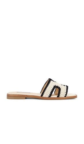 Hadyn-m Sandal in Cream. - size 6 (also in 6.5, 7, 7.5, 9) - Steve Madden - Modalova