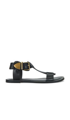 Brazinn Sandal in Black. - size 6 (also in 6.5, 7, 7.5, 8, 8.5, 9, 9.5) - Steve Madden - Modalova