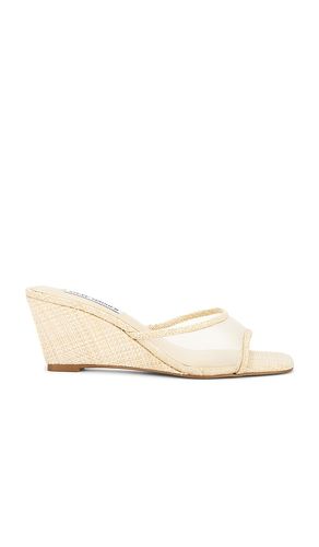 Seleste Sandal in Tan. - size 10 (also in 8, 8.5, 9.5) - Steve Madden - Modalova