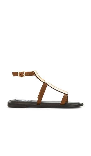 Alma Sandals in . - size 10 (also in 5.5, 6, 6.5, 7, 7.5, 8, 8.5, 9, 9.5) - Steve Madden - Modalova