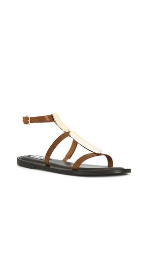 Alma Sandals in . Size 7.5. Also in 9 - Steve Madden - Modalova