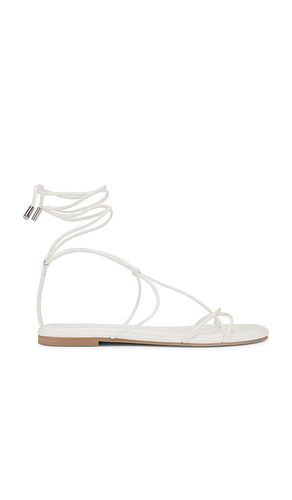 Myrtle Sandal in . - size 10 (also in 6, 6.5, 7, 7.5, 8, 8.5, 9, 9.5) - Steve Madden - Modalova