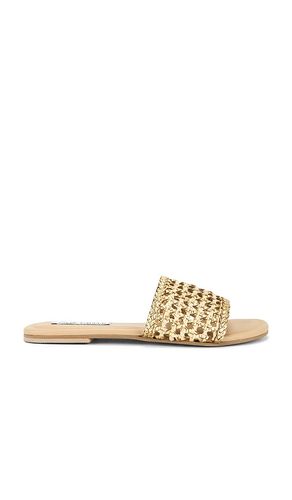 Gulf Slides in Metallic Gold, yellow. - size 10 (also in 6, 6.5, 7, 7.5, 8, 8.5, 9, 9.5) - Steve Madden - Modalova