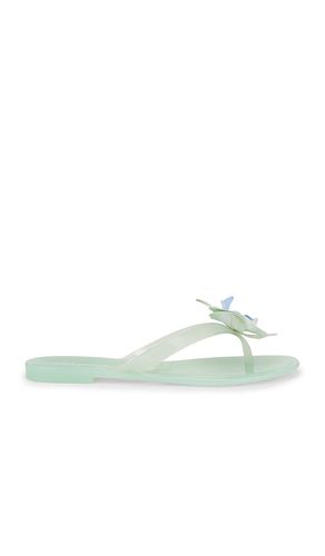 Poppyseed Flip Flops in . - size 7 (also in 9) - Steve Madden - Modalova