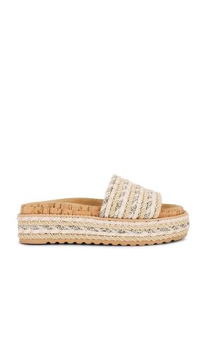 Beller Slide in Neutral. - size 10 (also in 6.5, 7, 7.5, 8, 8.5, 9, 9.5) - Steve Madden - Modalova