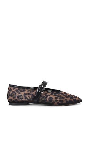Dreaming Flat in Brown. - size 6.5 (also in 7, 8) - Steve Madden - Modalova