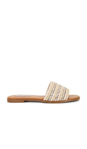 Kassi Slide in Neutral. - size 6 (also in 8, 8.5) - Steve Madden - Modalova