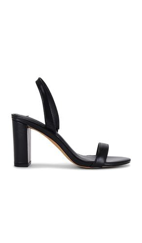 Emile Heel in Black. - size 10 (also in 6, 6.5, 7, 7.5, 8, 8.5, 9, 9.5) - Steve Madden - Modalova