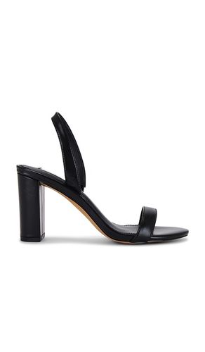 Emile Heel in Black. - size 10 (also in 6, 8.5, 9.5) - Steve Madden - Modalova