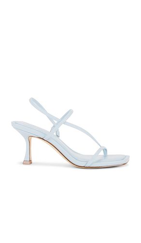 Locke Sandal in Blue. - size 10 (also in 6, 6.5, 7.5, 8.5, 9, 9.5) - Steve Madden - Modalova