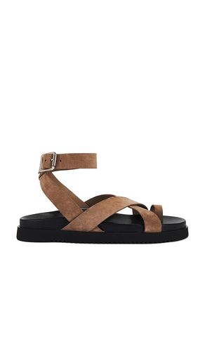 Mira Sandal in Tan. - size 10 (also in 6, 6.5, 7.5, 8, 9, 9.5) - Steve Madden - Modalova