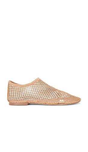 Mino Flat in Tan. - size 10 (also in 6, 7.5, 8.5) - Steve Madden - Modalova