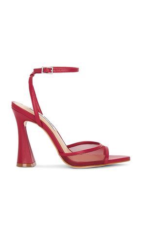 Beki-m Sandal in . - size 10 (also in 8, 9.5) - Steve Madden - Modalova