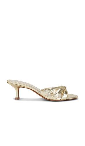 Cary Sandal in Metallic Gold. - size 6.5 (also in 7.5, 8, 9) - Steve Madden - Modalova