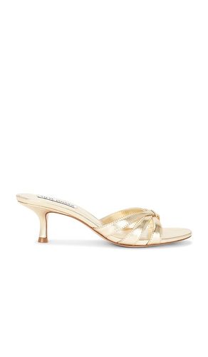 Cary Sandal in Metallic Gold. - size 7.5 (also in 8) - Steve Madden - Modalova