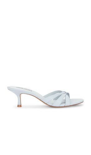 Cary Sandal in Baby Blue. - size 6 (also in 8) - Steve Madden - Modalova