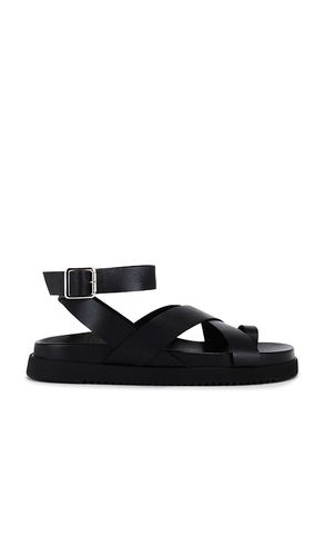 Mira Sandals in . - size 10 (also in 6, 6.5, 7, 7.5, 8, 8.5, 9) - Steve Madden - Modalova