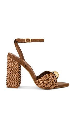 Cheyla Sandal in . - size 10 (also in 6, 6.5, 7, 7.5, 8, 8.5, 9, 9.5) - Steve Madden - Modalova
