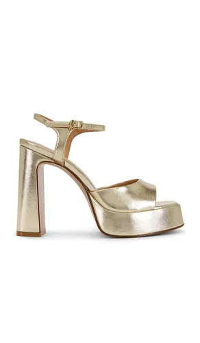 Liandra Platform Sandal in . Size 10. Also in 7.5, 8, 8.5, 9, 9.5 - Steve Madden - Modalova