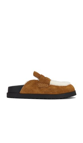Tomlin Clog in Tan. - size 10 (also in 6, 7, 8, 9) - Steve Madden - Modalova