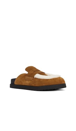 Tomlin Clog in . Size 6. Also in 8 - Steve Madden - Modalova